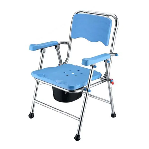 Dual-Purpose Toilet Chair