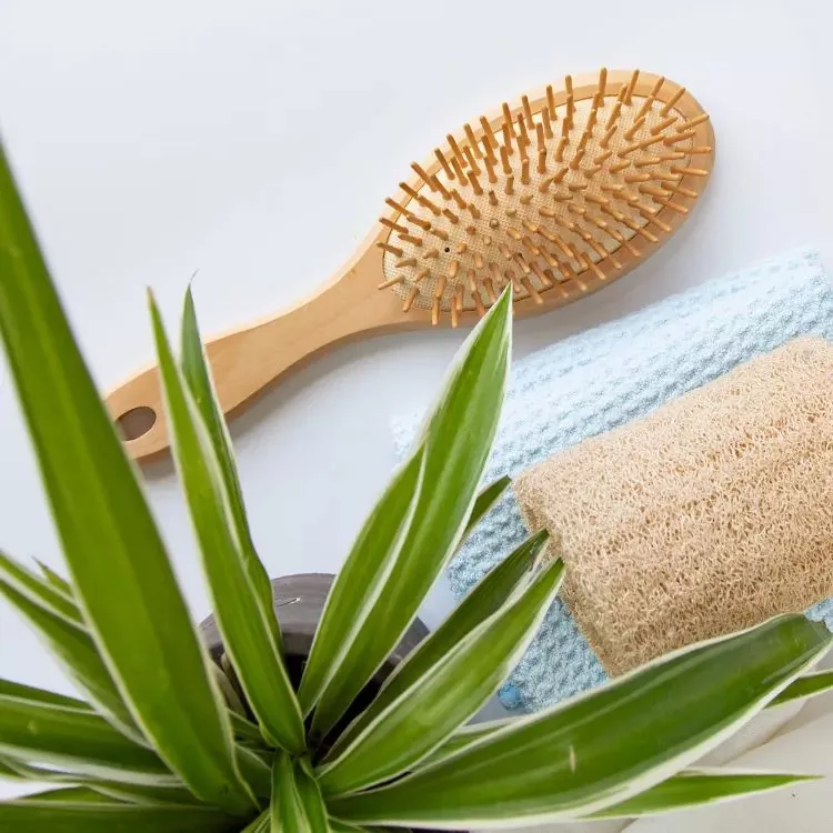 Spazzola per capelli in legno naturale