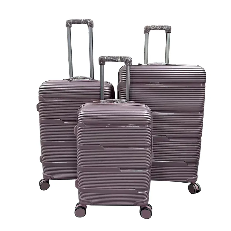 PC Aluminum Frame Trolley Luggage for 20