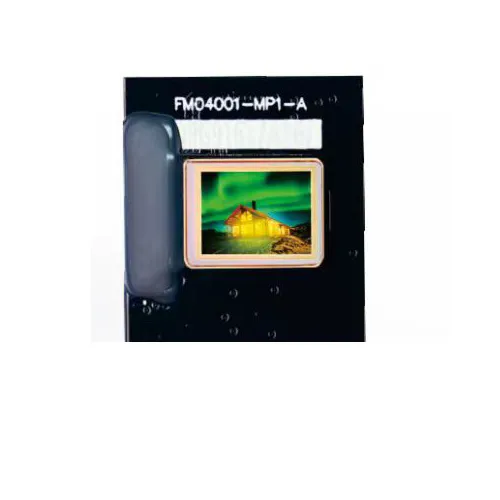0.39 inch Irregular Hexagonal Micro OLED Microdisplay