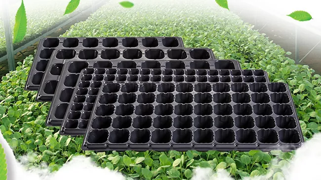 What are the production machines for seedling trays?
