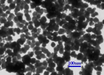 Osteoartrit Rejenerasyonunun İn Vivo Dinamik İzlemesi için Süperparamanyetik Kompozit Hidrojel İskelesi