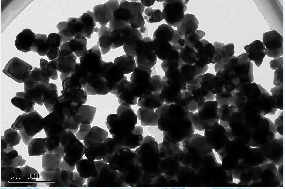 Tıbbi Uygulamalar için Yüzey Ligandı Düzenlenmiş Demir Oksit Nanopartikülleri