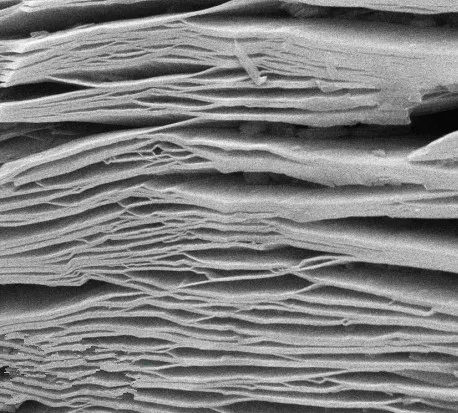 Pó de nanoflocos multicamadas de carboneto de titânio Ti3C2Tx MXene