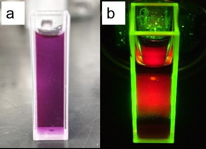 Water-soluble red fluorescence carbon quantum dot dispersion