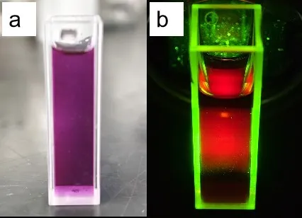 Dispersión de puntos cuánticos de carbono de fluorescencia roja soluble en agua