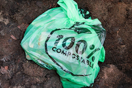 What are biodegradable bags?