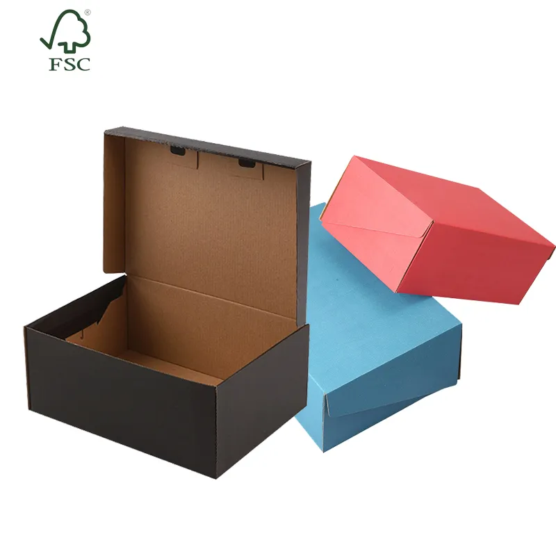 Cardboard shoe box