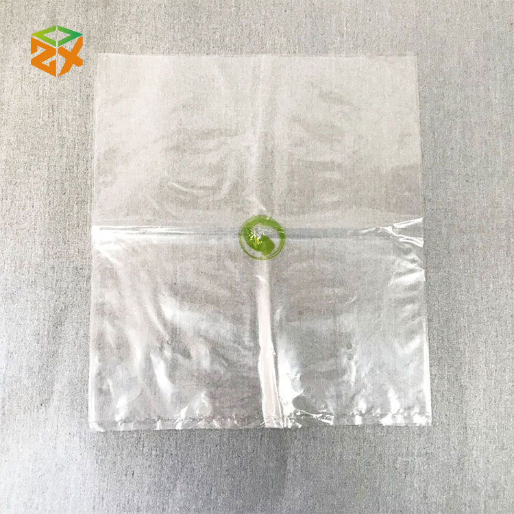 Ldpe Plastic Bag - 6