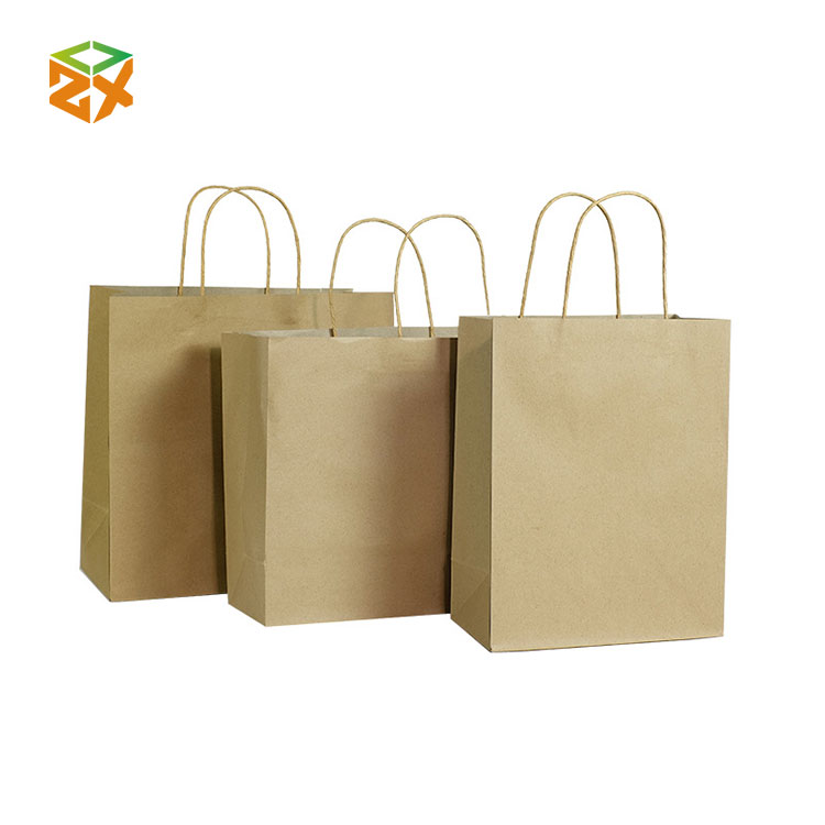 Printed Recyclable Paper Bag - 2