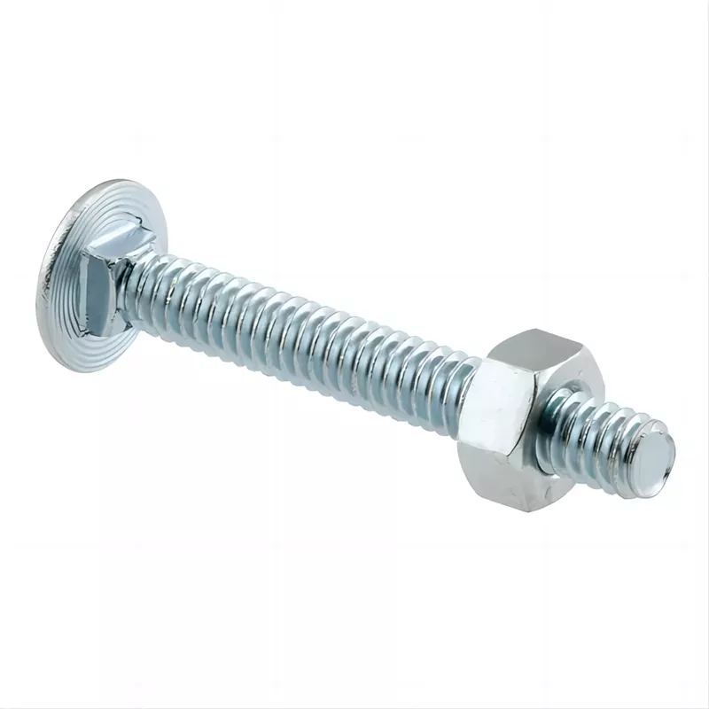 DIN603 Carriage Bolts With Nut - 1 