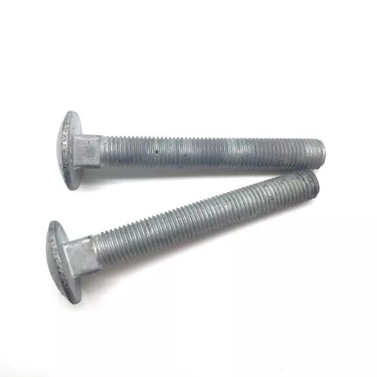 DIN603 Carriage Bolts Hot Dip Galvanized