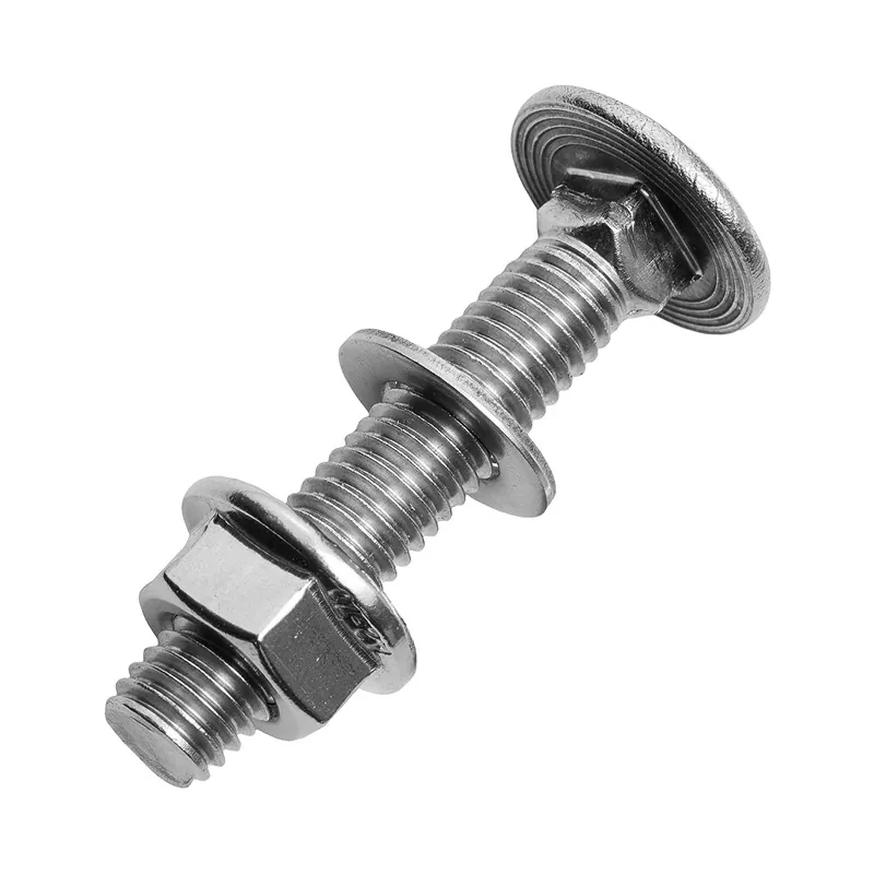 Stainless Steel DIN603 Carriage Bolts - 4 