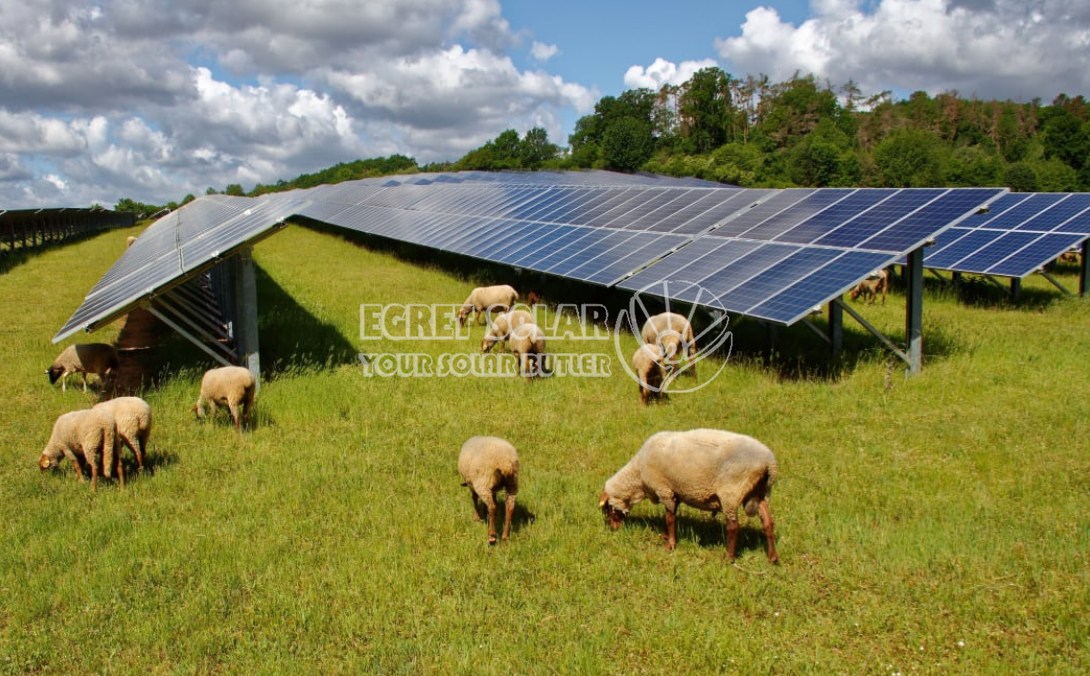 De strategische samenwerking tussen Egret Solar New Energy Technology en Smart Concept Energy