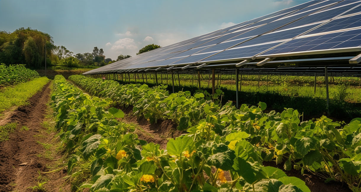 Solar Agriculture Mounting System