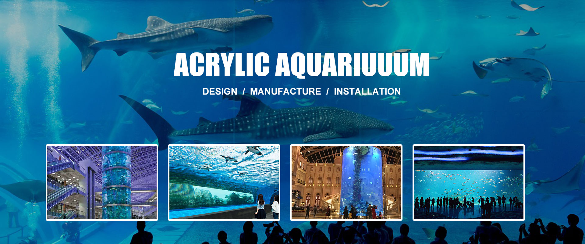 China Acryl Aquarium Leveranciers