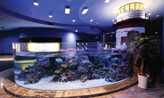 Wat zijn de voordelen van plexiglas aquariums?