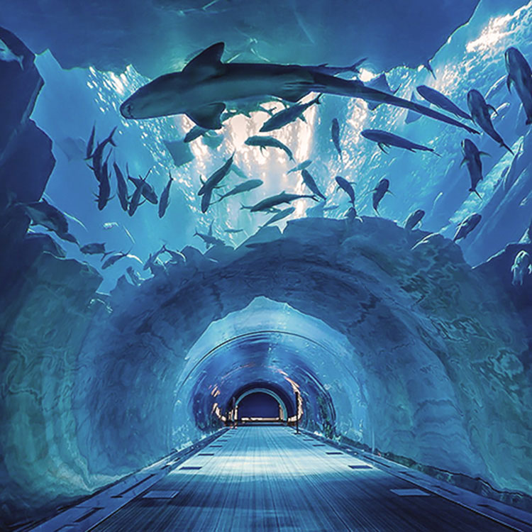 Aquariumtunnel van acryl
