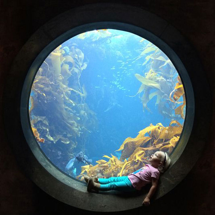 Aquariumfenster aus Acryl