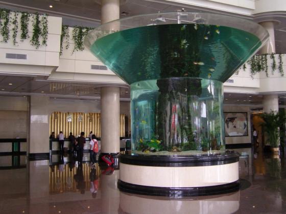 Aquarium aus Plexiglas
