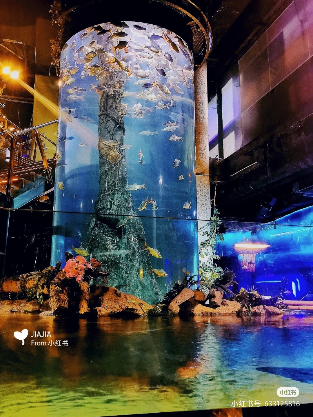 Aquarium aus Plexiglas