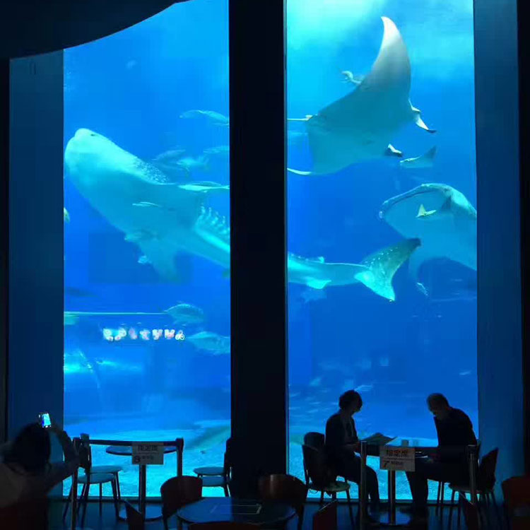 Underwater Dining Experience