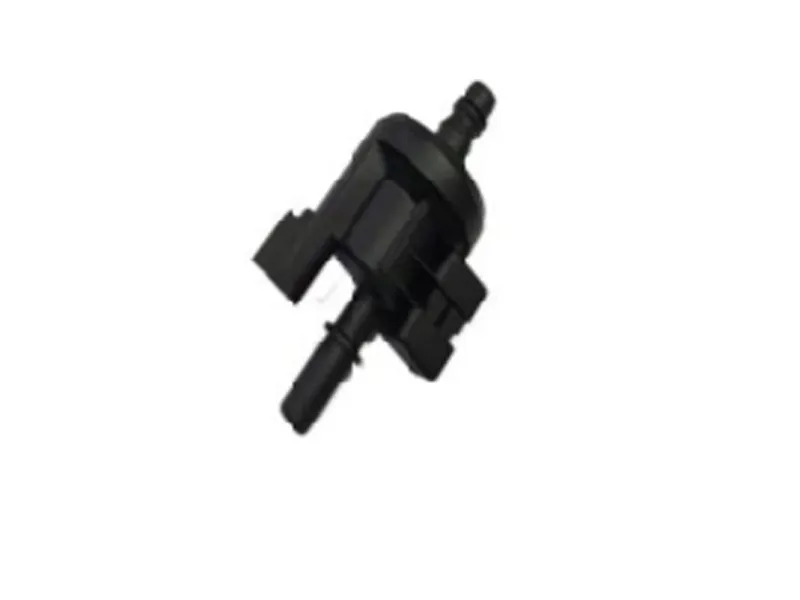 10721498 Solenoidinis vožtuvas