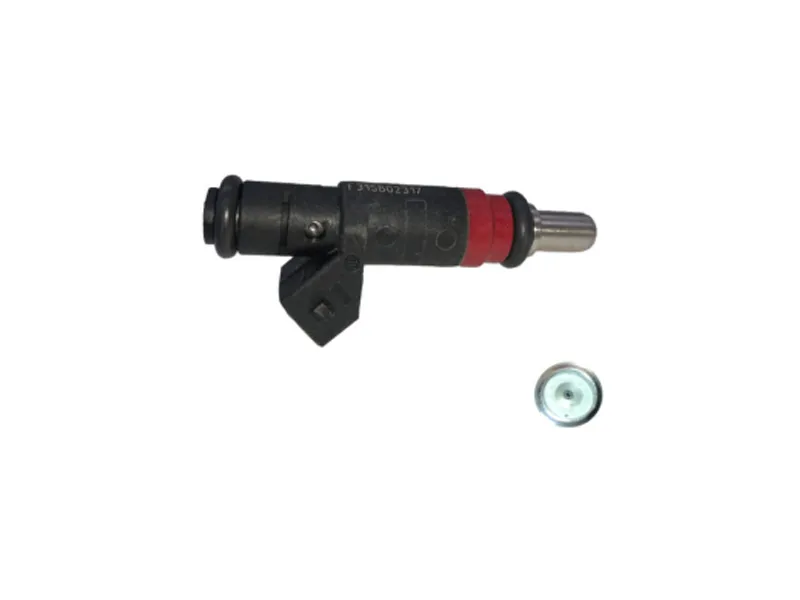 21150162D Fuel Injector Nozzle