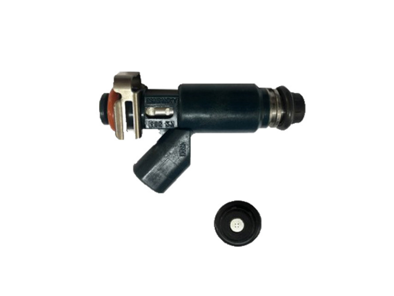 53013490AA/195500-4250 Fuel Injector Nozzle