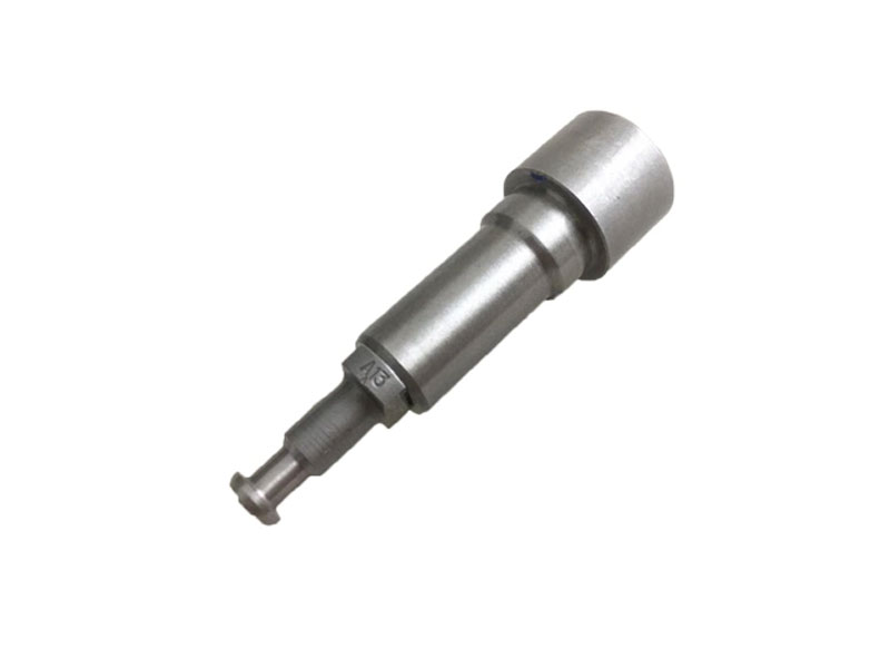 Diesel Injector Pump Plunger 2418455333
