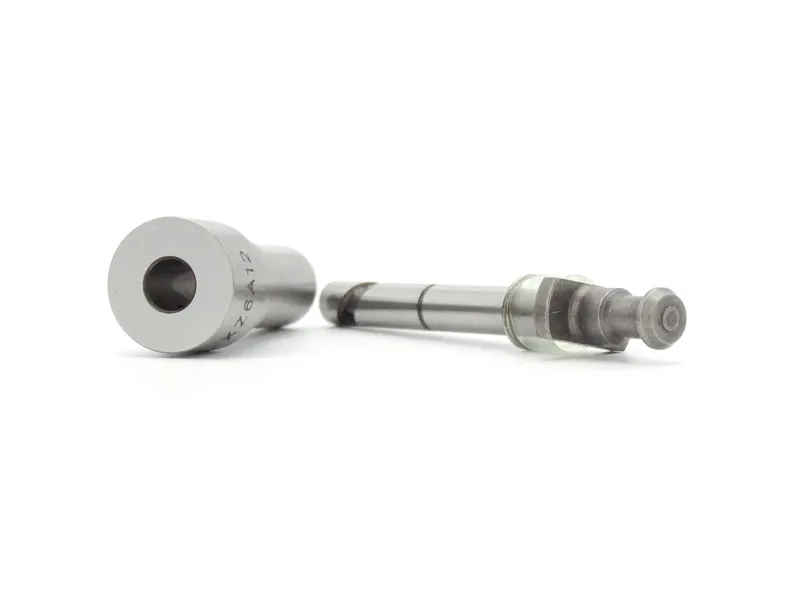 Diesel Plunger 1418325007