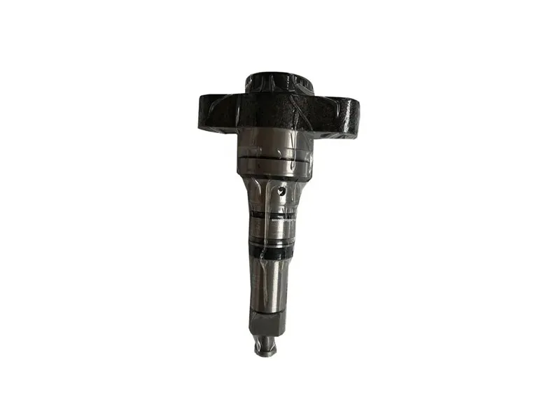 Diesel Plunger 2469403181