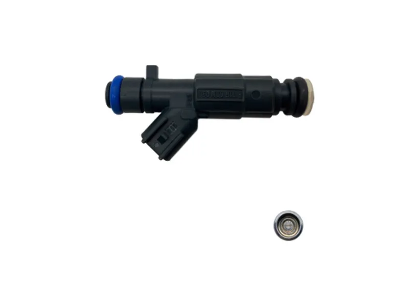 F01R00M030 Fuel Injector Nozzle