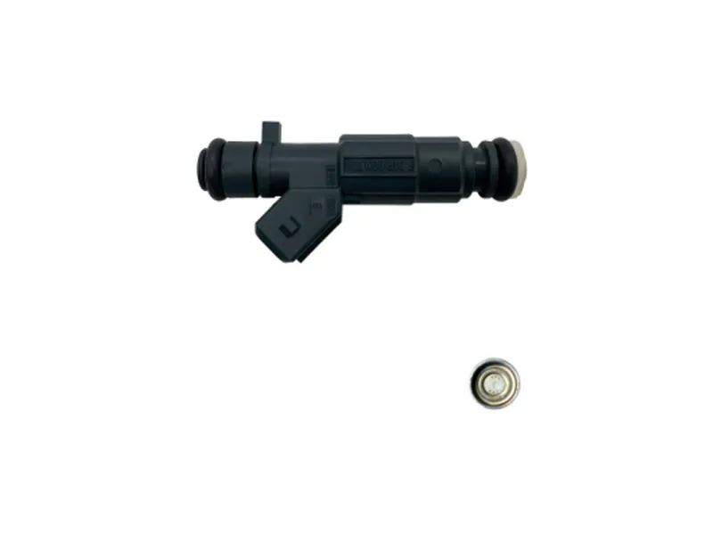 F01R00M109 Fuel Injector Nozzle