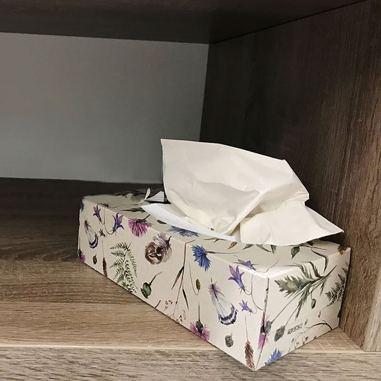 Facial Tissue In Paper Box