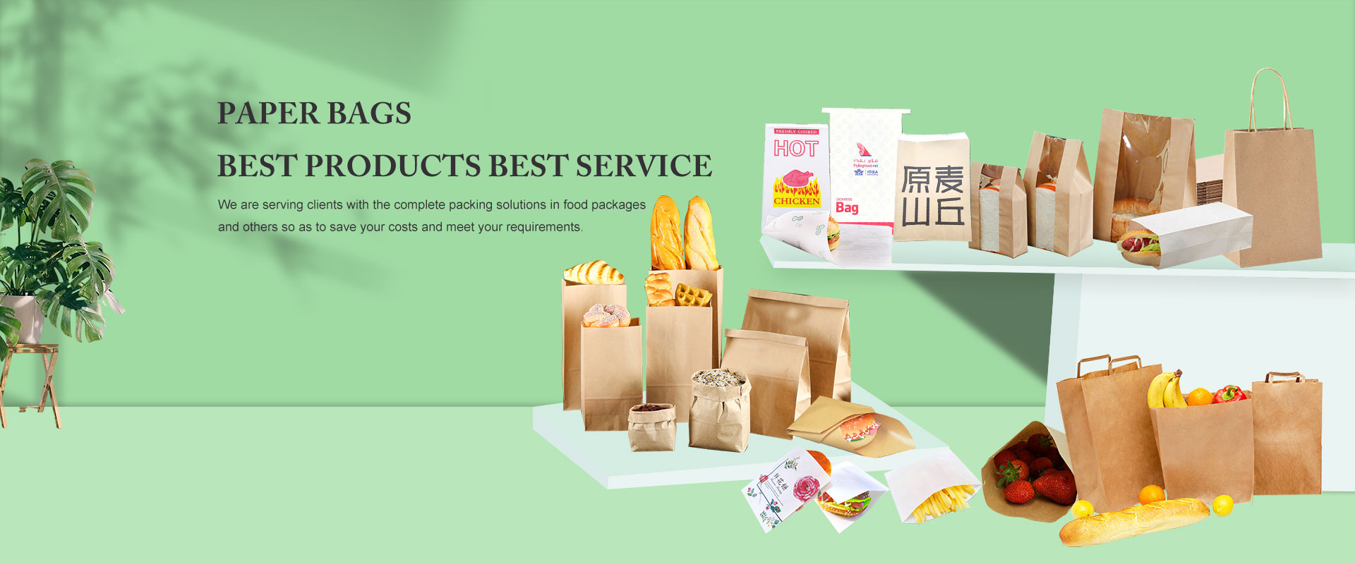Paper Bags Manufacturers and Suppliers
