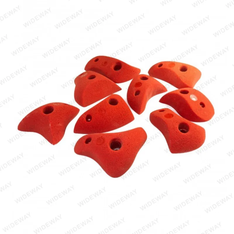 10 prese per arrampicata su roccia assortite