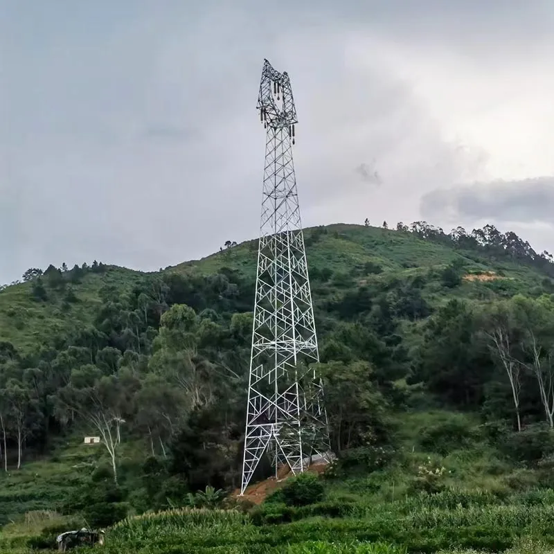 Princeps Voltage Power Tower Transmission Line Tower