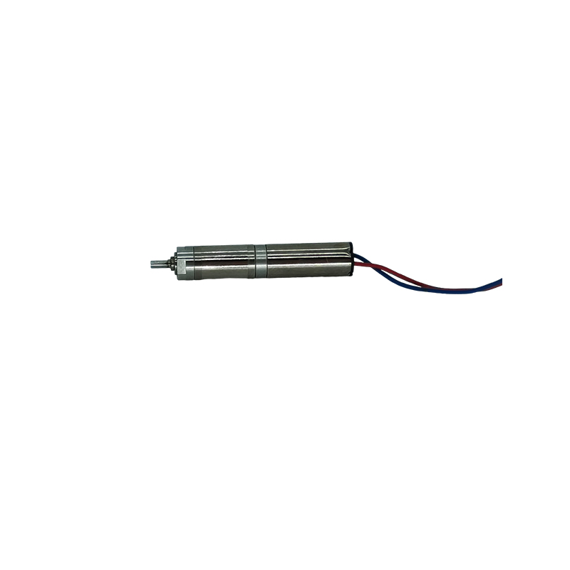 6mm Micro Dc Hollow Cup Brushed Motor