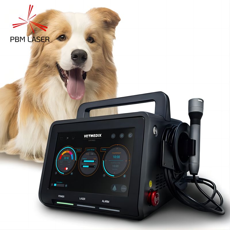 What Conditions Can Veterinary Lasers Be Used to Treat?