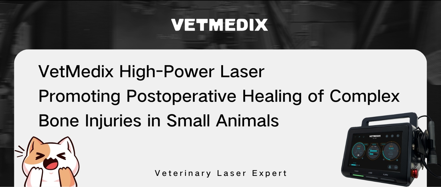 VetMedix Case Sharing丨Pengobatan Laser Daya Tinggi saka Fraktur Tibiofibuler Sekunder ing Kewan