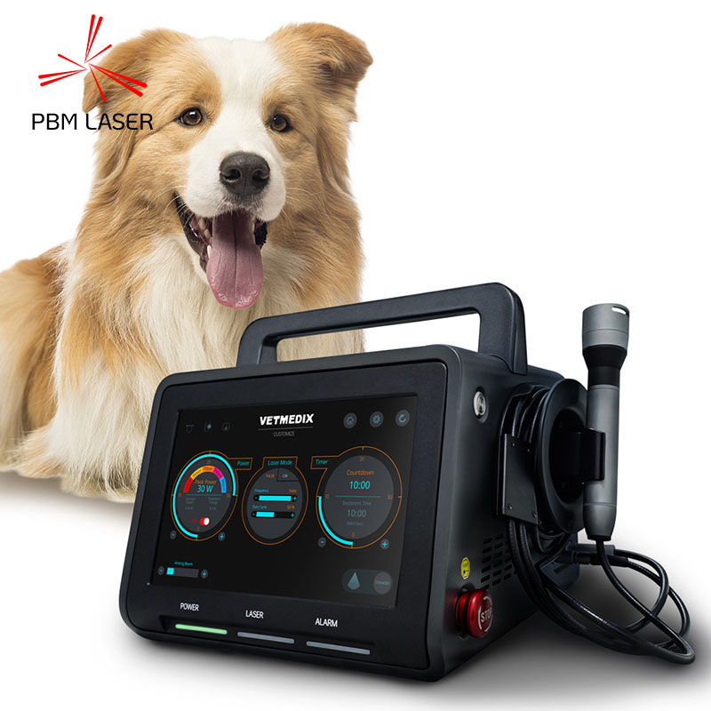 laser canino 450nm 650nm 810nm 808nm 915nm 1064nm da terapia da dor do animal de estimação 30W