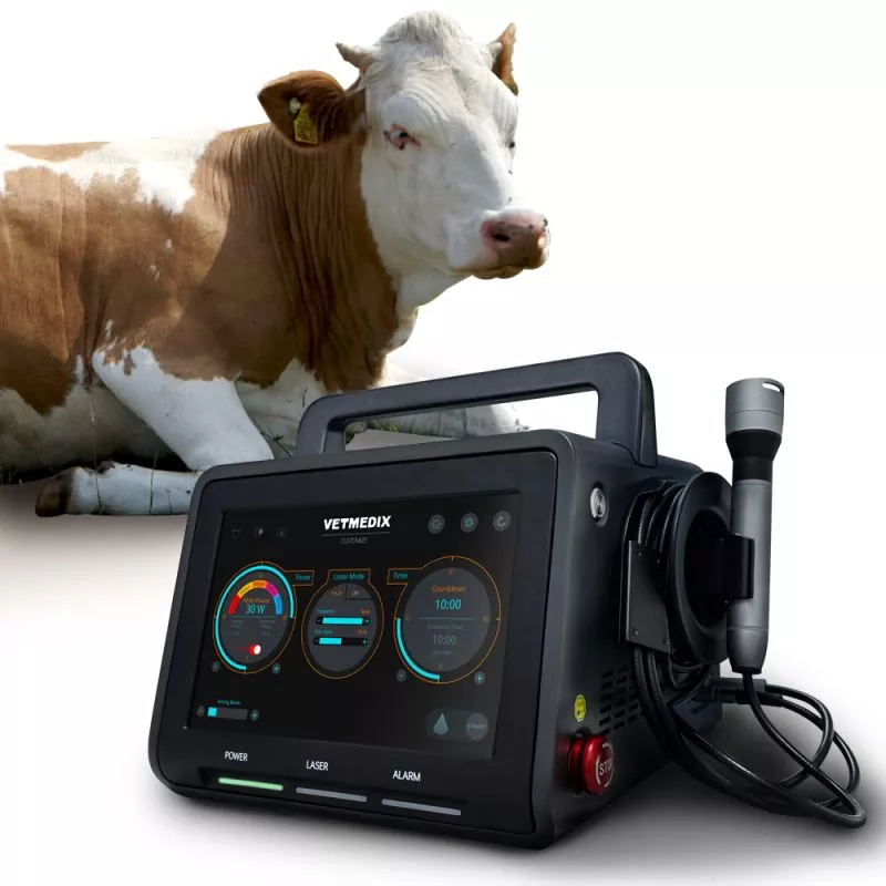 Animal Husbandry Laser