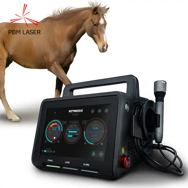 Equine Laser Treatment