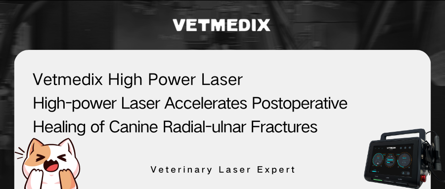 Vetmedix High Power Laser