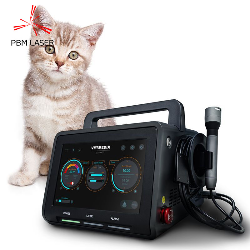 Laser veterinário para terapia de luz classe 4 para pequenos animais