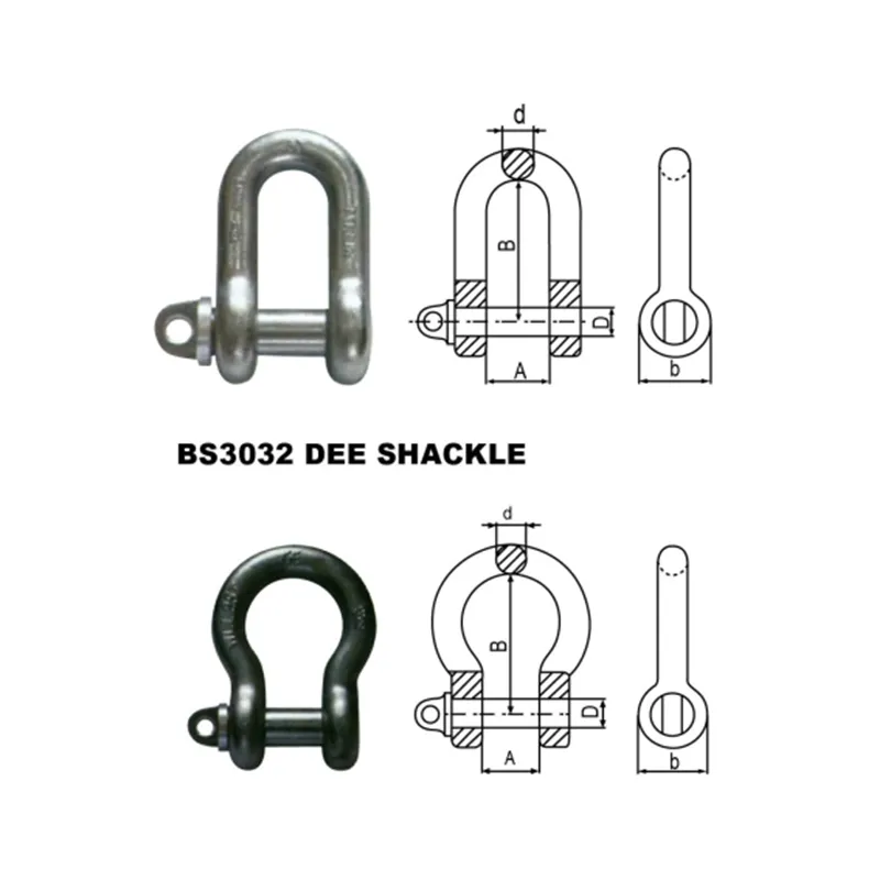 Bs3032 Dee Shackle