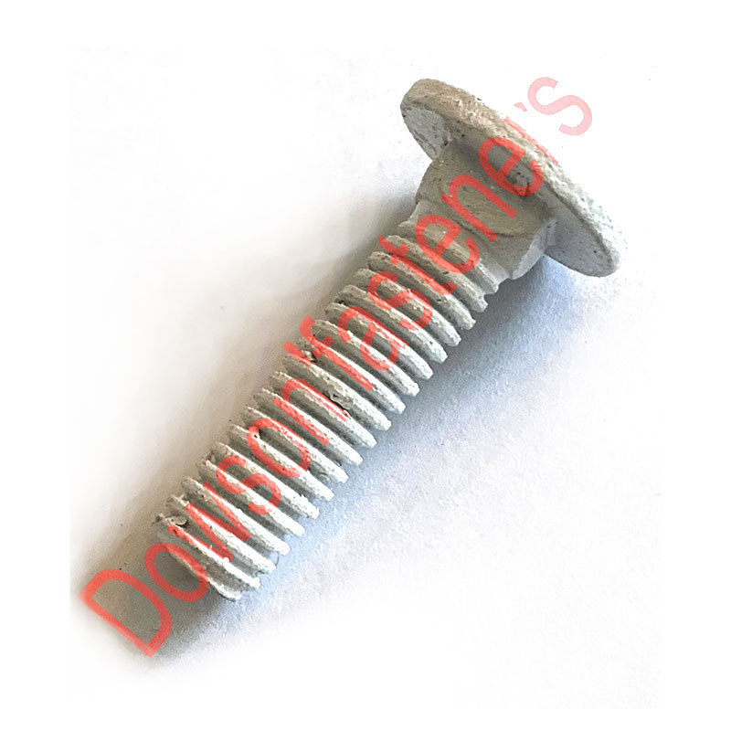 Grade 5 carriage bolt White painting