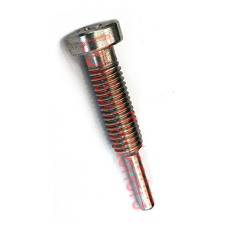 Ss304 Round Head Bolt with Long Little Tail