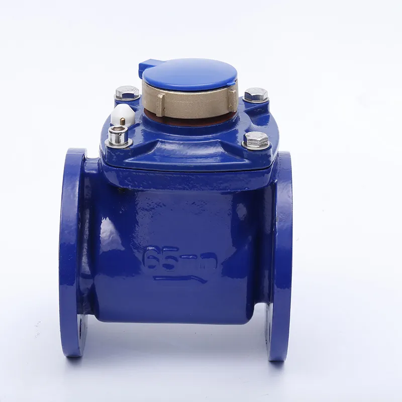 Woltmann ဖြုတ်တပ်နိုင်သော Dry Type Flange Water Meter